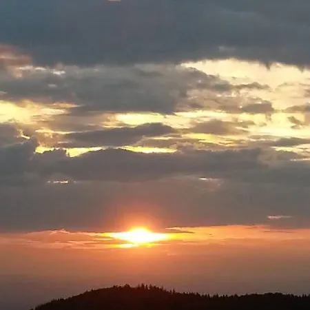 Haus Sattelgrund Lejlighed Münstertal