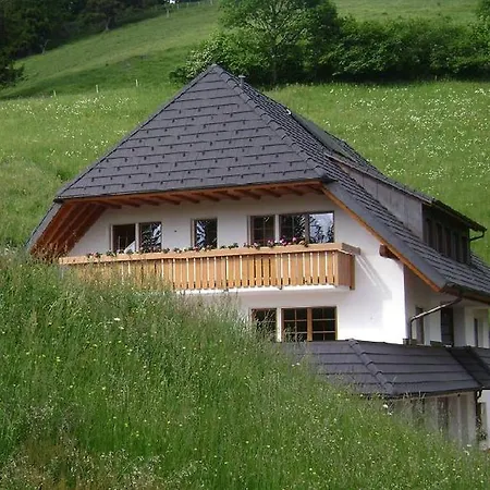 Lejlighed Haus Sattelgrund Münstertal