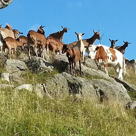 Lejlighed Haus Sattelgrund *